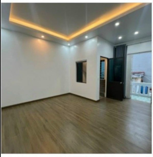 ban nha 325m2 ngo duong ton duc thang le chan 1