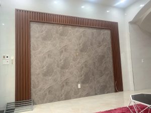 ban nha 40m2 pho hang kenh le chan 11