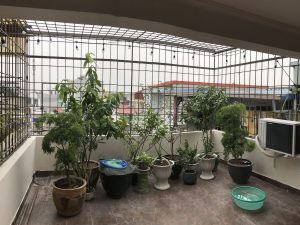 ban nha 60m2 ngo thien loi le chan 7