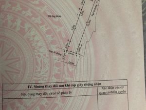 ban nha ngo 199 to hieu le chan 1