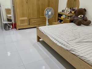 hoang huy lach tray 3