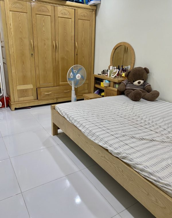 hoang huy lach tray 6